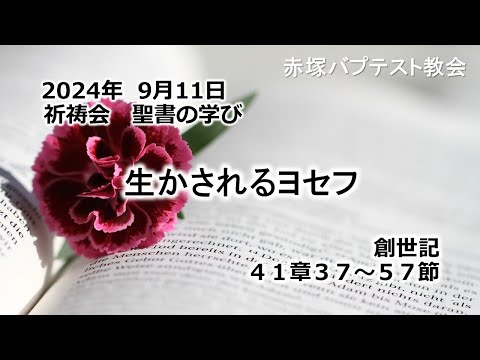 生かされるヨセフ　創世記 41章37～57節 2024/ 9/11 WED.　赤塚教会祈祷会 聖書の学び