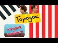 Городок с помощником