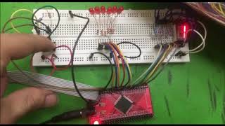 MILESTONE 3 - JOHNSON COUNTER & FULL PROGRAM