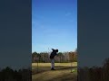 Fall Golf