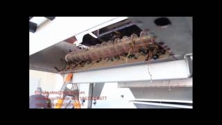 Winery making machine grape destemmer, grape destemmer and sorter processing line