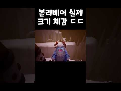 볼리베어 실제 크기 체감 ㄷㄷ