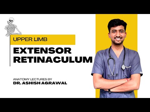 Extensor Retinaculum || Upper Limb Anatomy || First Year MBBS || Anatomy lectures by Ashish