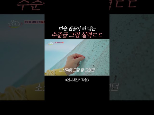 사실 미대 오빠였던 정상훈 ㄷㄷ #언니네산지직송3