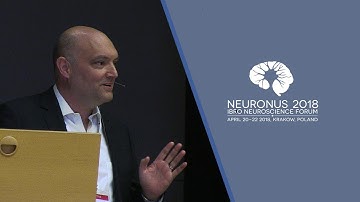 Neuronal mechanisms of performance monitoring and adaptive control, Markus Ullsperger