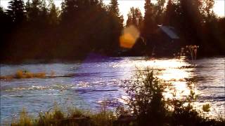 Kenai Life