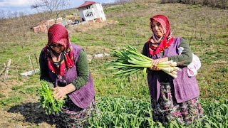 ​🌿 Kizimiz İçi̇n Topladik Bahçeden Şifalı Otlar Ve Taze Pırasa Doğal Yaşam