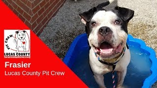 Frasier: Lucas County Pit Crew