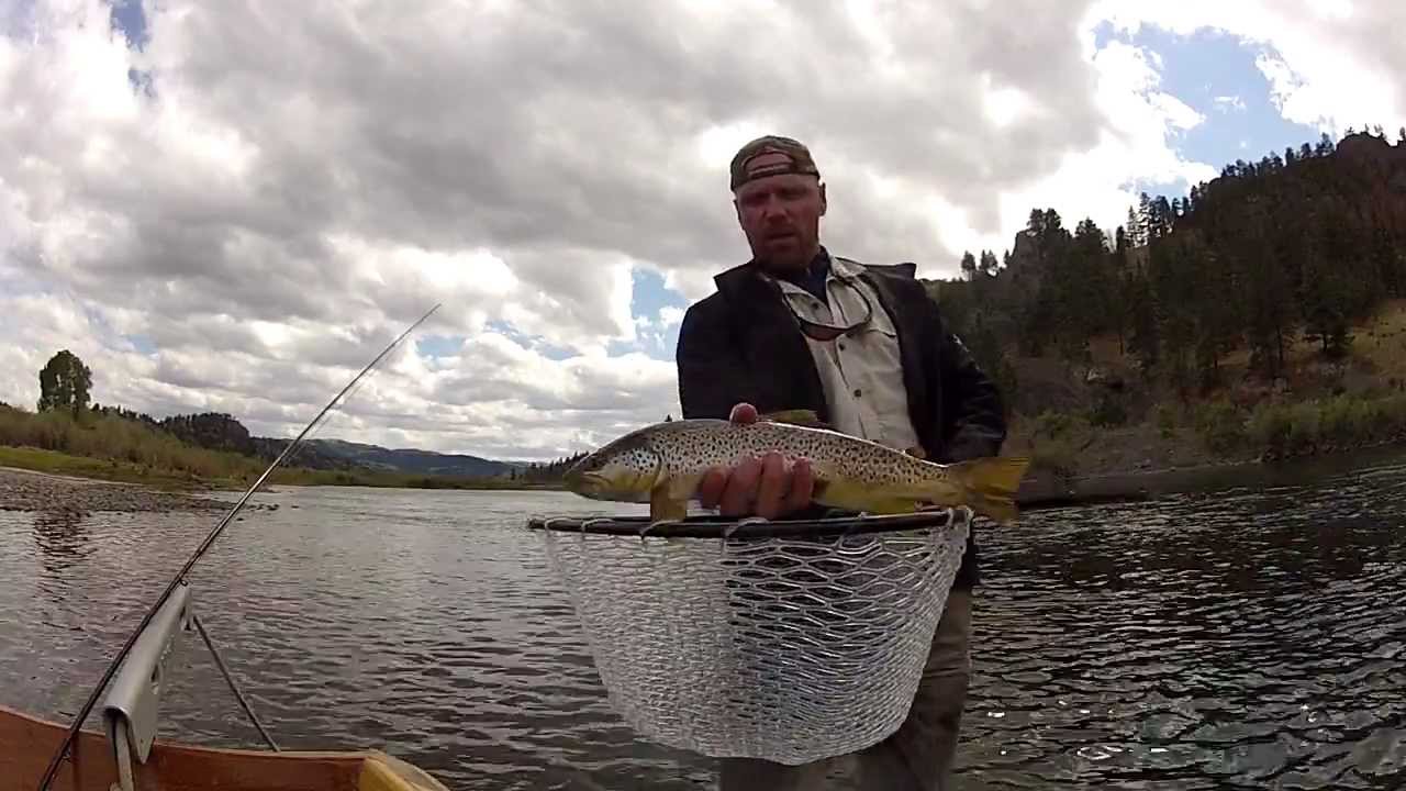 Montana Fly Fishing Missouri River YouTube