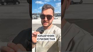 КИШЕЧНИК И ВЗДУТИЕ.#проницаемыйкишечник #дырявыйкишечник #вздутие #газообразование #кишечник