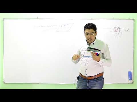 4 النسيج العصبي الدرس الأول