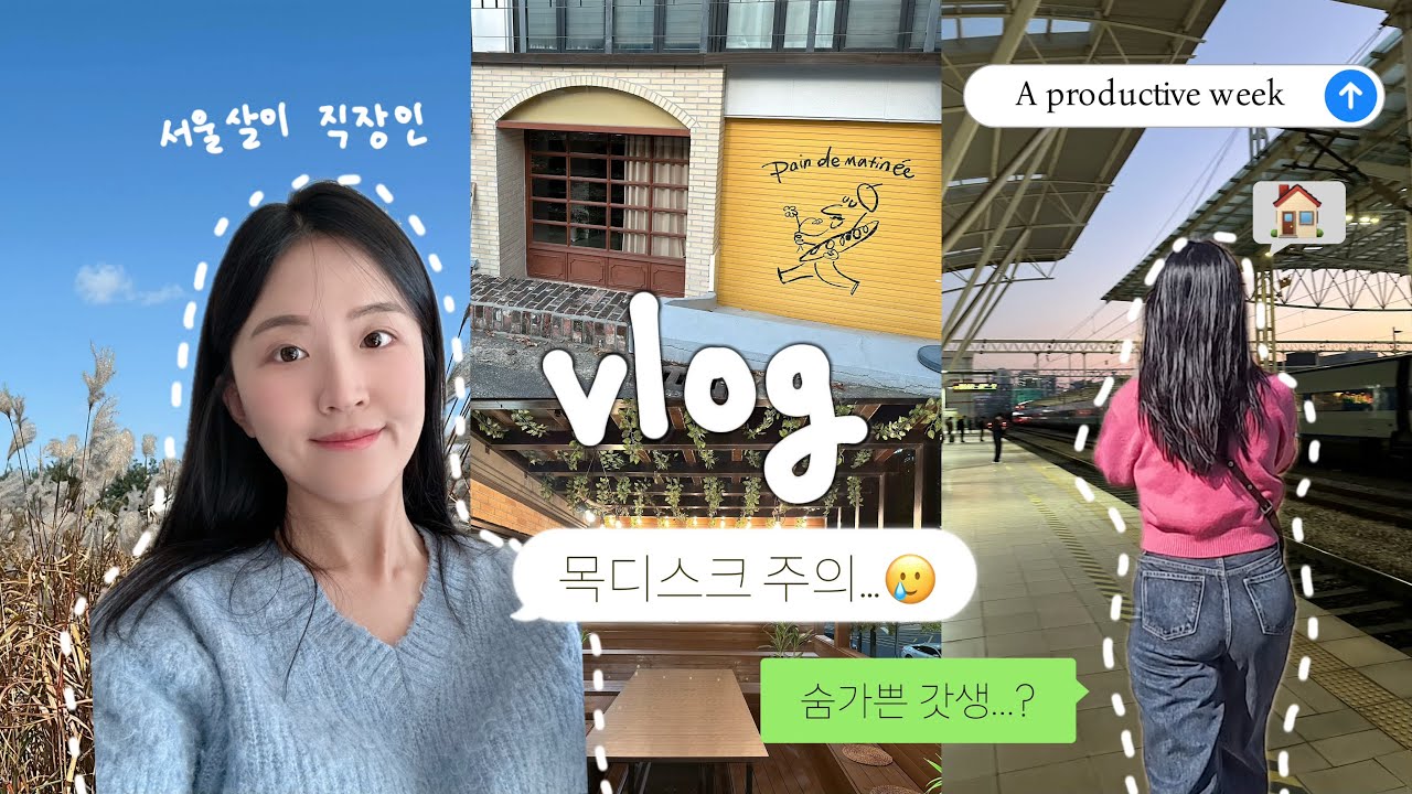 𝗣𝗿𝗼𝗱𝘂𝗰𝘁𝗶𝘃𝗲 𝗟𝗶𝗳𝗲ㅣ직장인 브이로그ㅣ제가 목디스크라니요...ㅣ하늘공원 데이트ㅣ망원동 일본 가정식&연남동 파티룸 추천