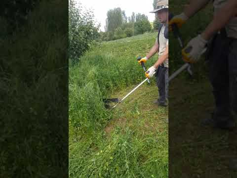 Video: Echo Benzinli Kesiciler: Bir Dizi Japon çalı Tırpanı (benzinli Kesici) Ve çim Biçme Makinesi. Biçme Yağı Seçimi