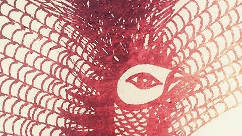 magical animal - mosrite fuzzrite guitar fuzz -  lost 90s space rock / basement psych demo