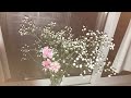 みなしごの雨 / 青葉市子