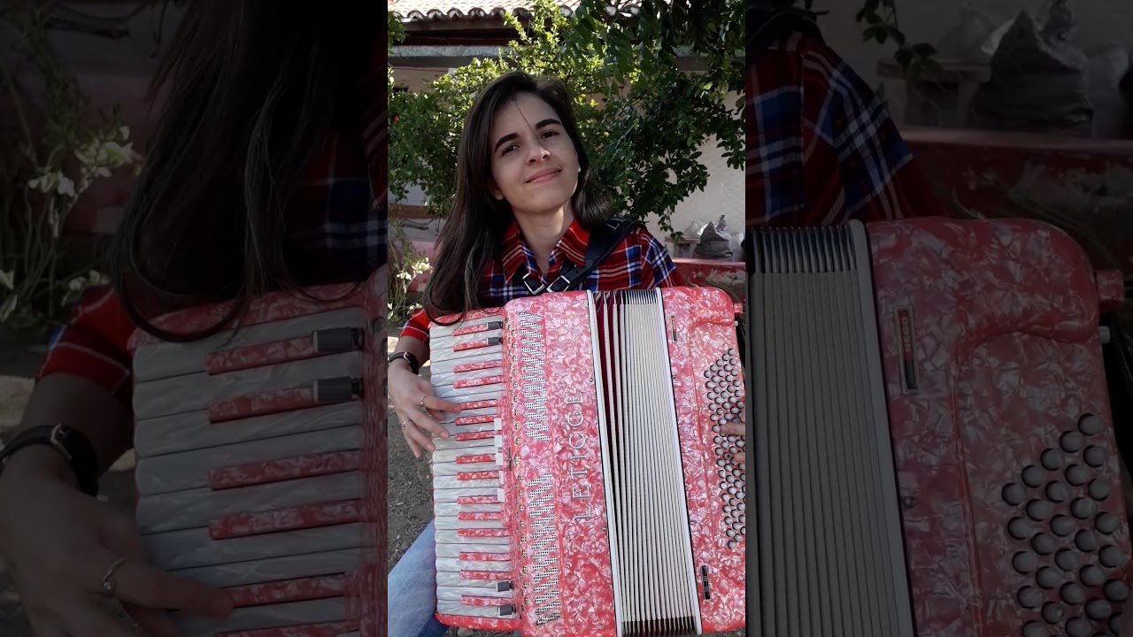 O sanfoneiro só tocava isso -  Jeysiane Almeida