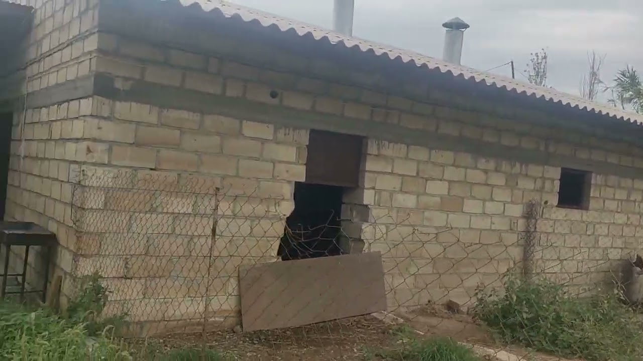 tecli ferma hemi icareye hemi satllr  050.374.04.34