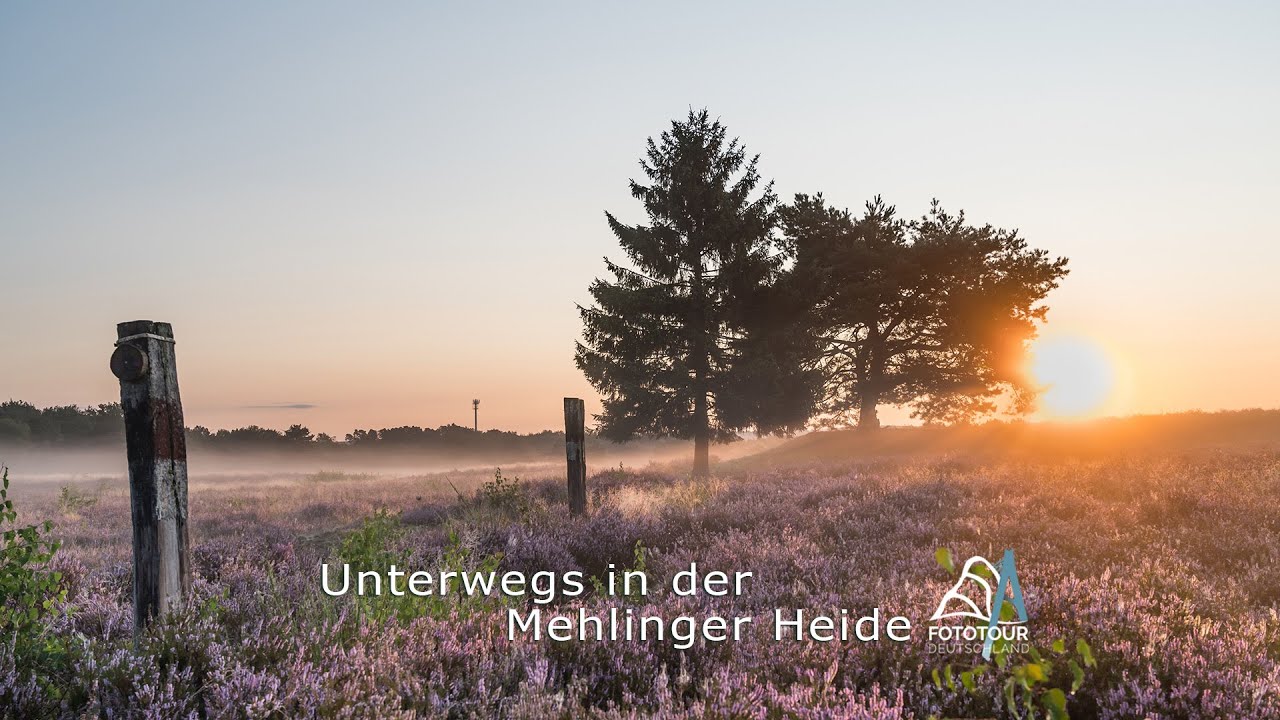 Unterwegs in der Mehlinger Heide