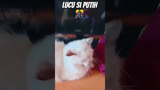 Download Lagu Tidur Terus 😴 MP3 Download Lagu Tidur Terus 😴 MP3
