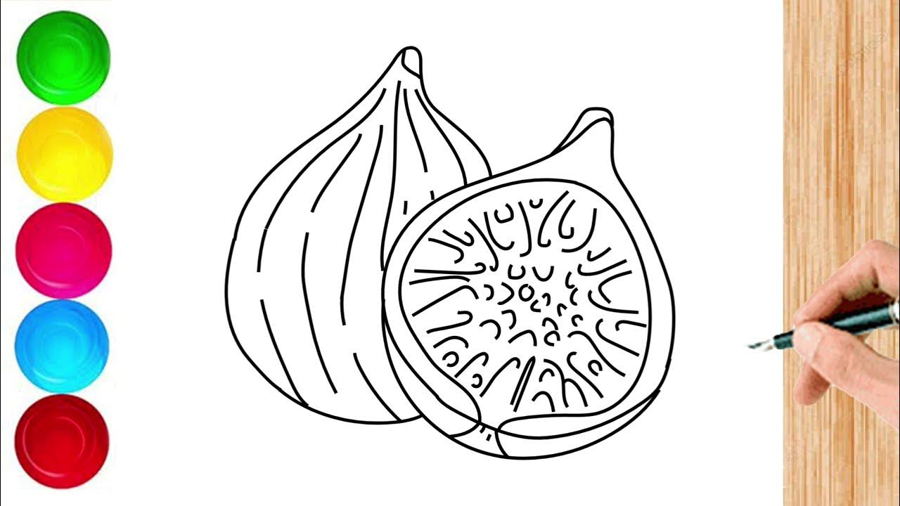 How to Draw a Fig Fruit - YouTube