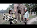 A rhino charged at us in Chitwan National Park! (Elephant Safari in Nepal) Travel Vlog