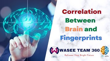 Correlation Between Brain And Fingerprints | DMIT | Scientific Test | Wasee Team 360