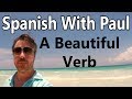 A beautiful spanish verb extraar  learn spanish with paul