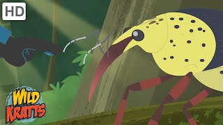 Wild Kratts | Bugs Part 2 | Insects, Arachnids, Worms and other Creepy Crawlies