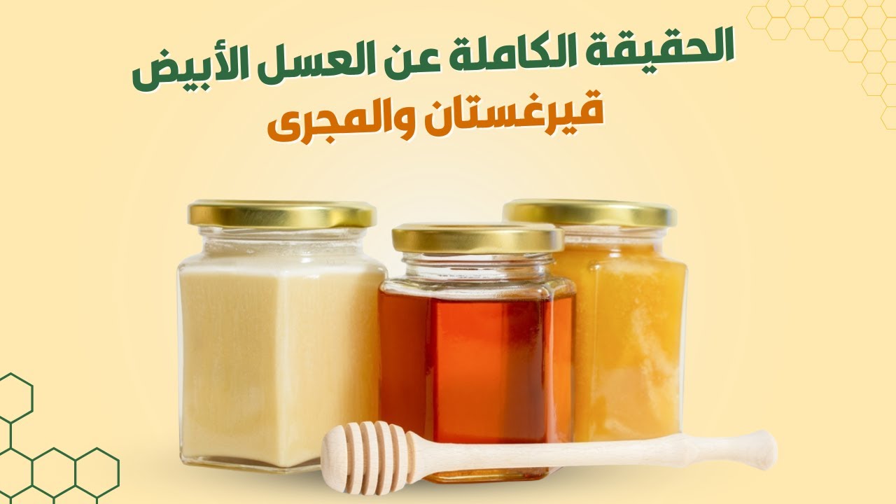 الفرق بين العسل الأبيض القرغيزي والعسل الأبيض البلدي | الحقيقة الكاملة