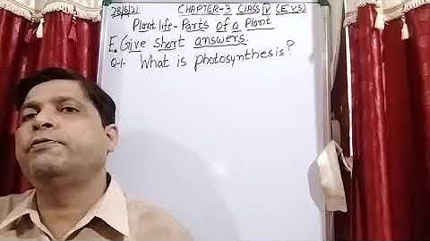 Class IV EVS 28 06 2021 by Mr Rupesh Chapter 3 Plant life  Parts of plant