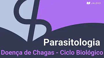 Como se contrai a doença de Chagas descreva sobre seu ciclo?