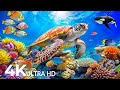 Dive Into the Mesmerizing Underwater Realm🐳Marvel at Sea Animal in The Best 4K ULTRA HD Aquarium #55