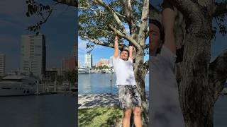 Download Mp3 THAT MAUI WOWIEEE #shorts Gudang lagu Download Mp3 THAT MAUI WOWIEEE #shorts