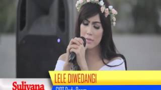 Lele di Wedangi Suliana