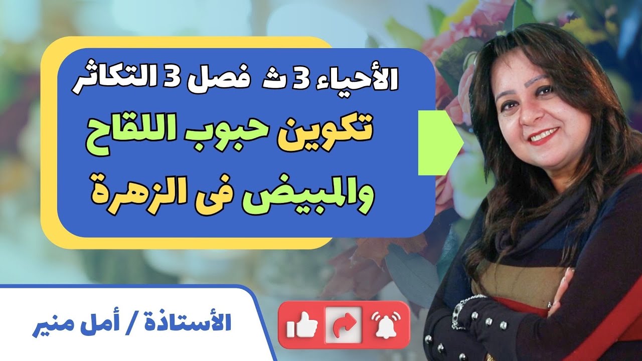 الأحياء 3 ث | الفصل 3 التكاثر |  تكوين حبوب اللقاح والمبيض فى الزهرة