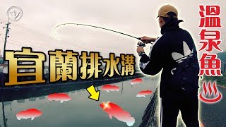 史上最好命魚泡溫泉長大簡直欠釣溫泉之鄉94狂 ft. 路亞巴士 #鵝大人 #釣魚 #路亞