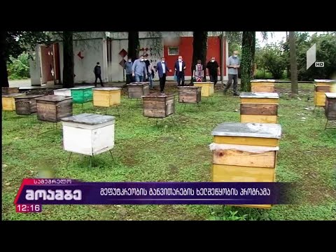 მეფუტკრეობის განვითარების ხელშეწყობის პროგრამა