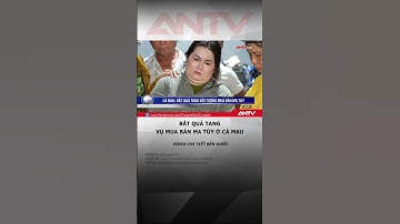 Bắt quả tang vụ mua bán ma túy tại một quán nhậu ở Cà Mau #antv #shorts #tintuc #matuy #camau