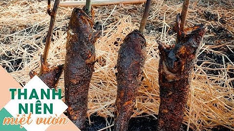 Ăn cá lóc nướng trui rơm sau vườn | Thanh Niên Miệt Vườn