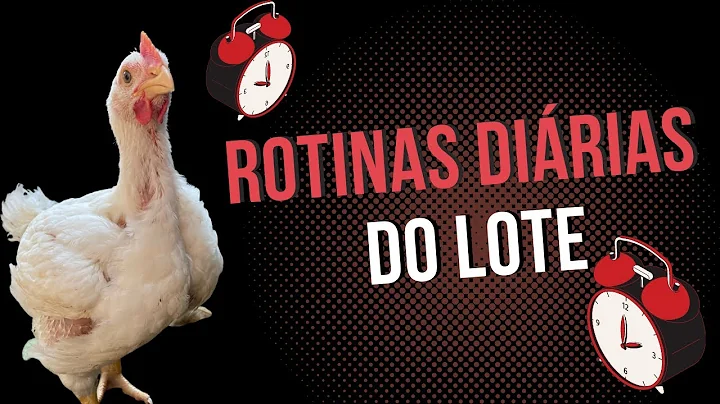 Aula #038 - Entenda as rotinas de 1 lote de frango...