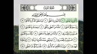 تلاوة سورة الليل بصوت القارئ الشيخ د. أيمن سويد