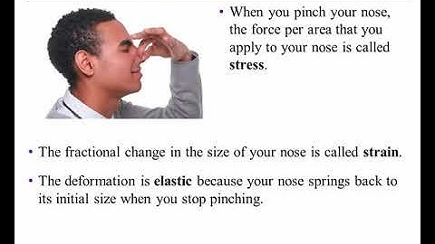 Chapter 11 Equilibrium and Elasticity
