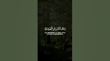 وأما من خاف مقام ربه || القارئ رعد الكردي🤍