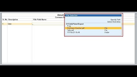 Tally Add On : Document Management System in TallyPrime software.