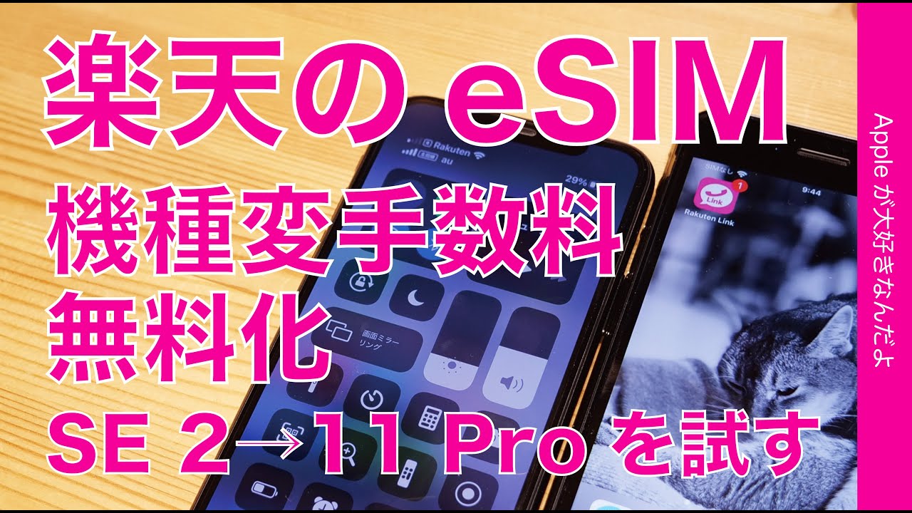 変更 esim 機種