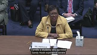 NEA President Becky Pringle testifies about gun violence