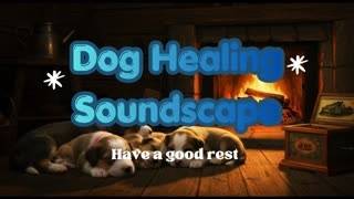 12 Hours Dog TV for Dogs | Relaxing Music to Calm Anxiety, Stress & Barking