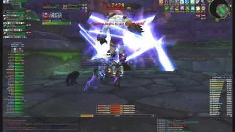 Black Watch vs Thaddius 40 player raid