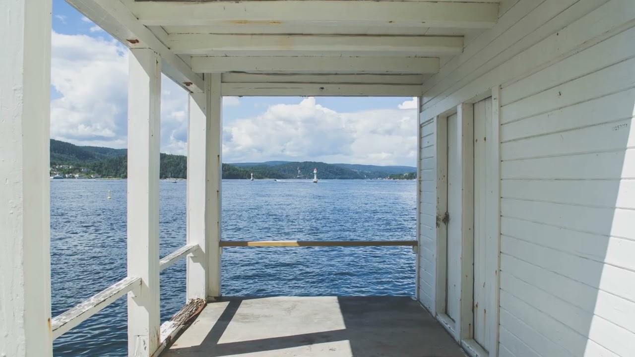 Intro: "Breaking the Cycle  A Veterans guide to decrease negative thoughts."