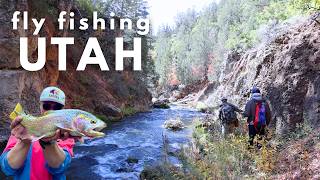 No Weekends Needed | Just Outside of Salt Lake City